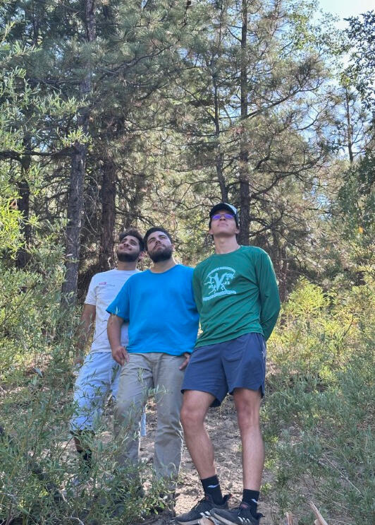 A contemplative moment in the forest at the end of the Summer...